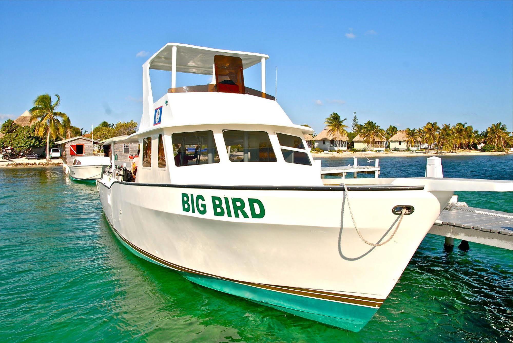 Turneffe Atoll Blackbird Caye Resort מראה חיצוני תמונה