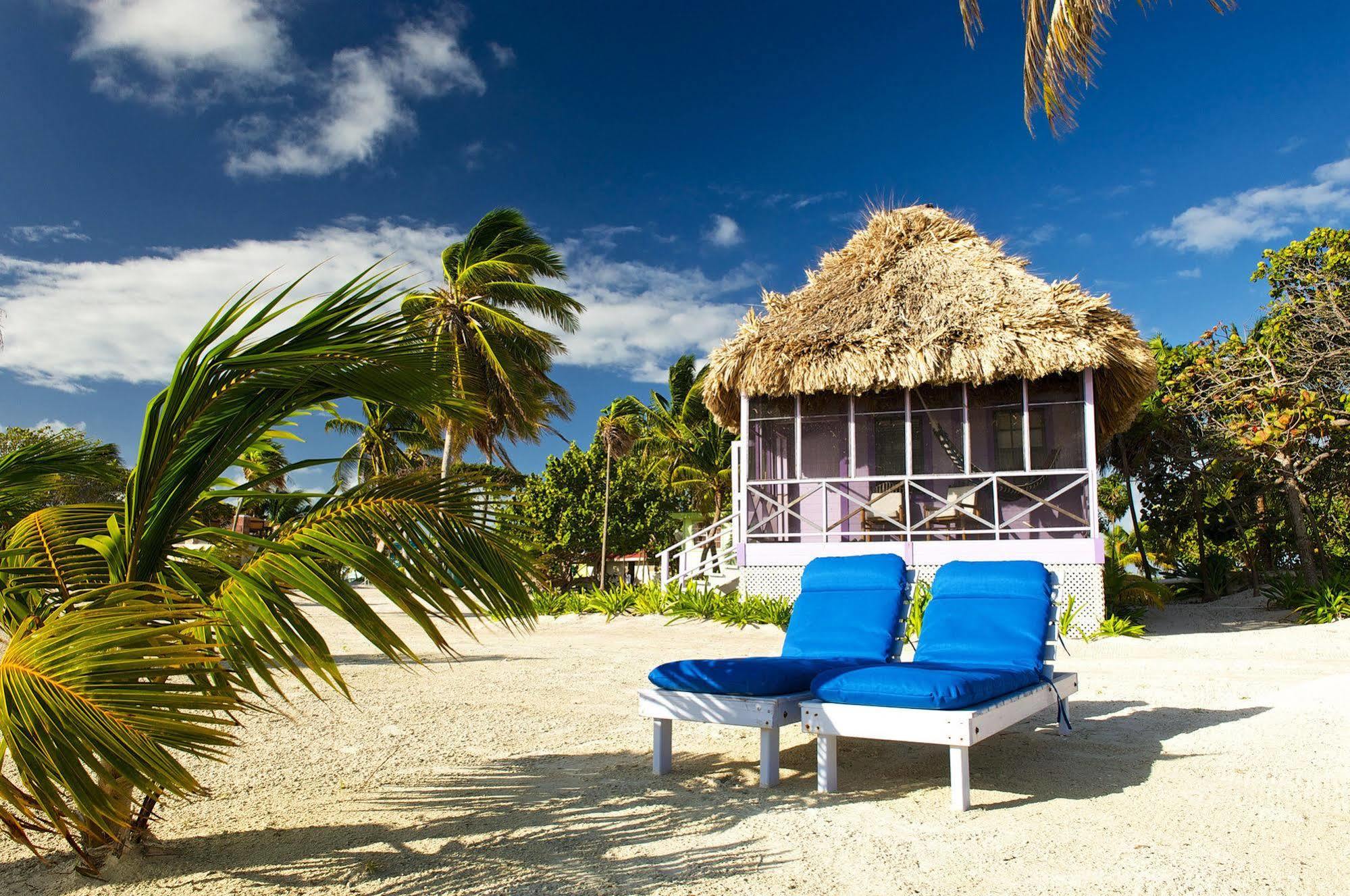 Turneffe Atoll Blackbird Caye Resort מראה חיצוני תמונה